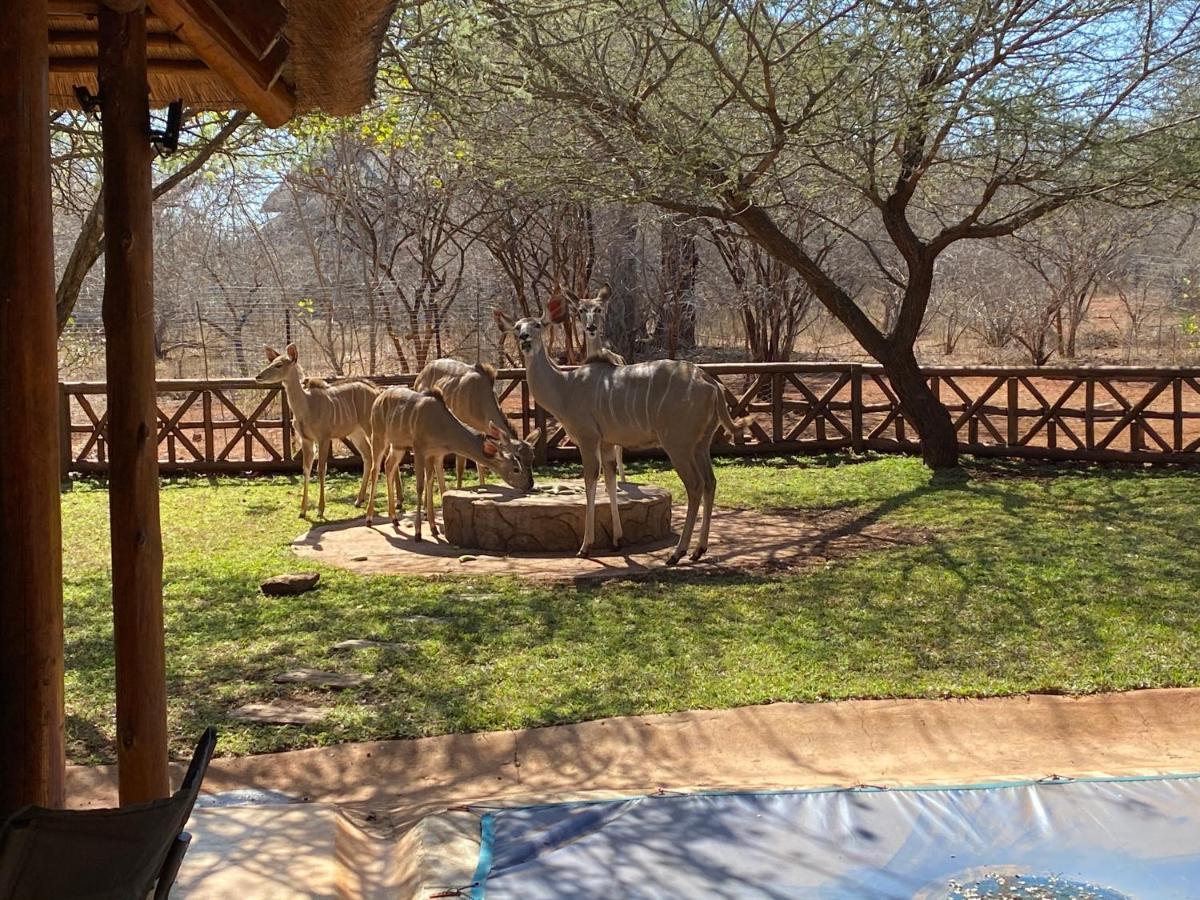 مارلوث بارك Genet House Holiday Home المظهر الخارجي الصورة